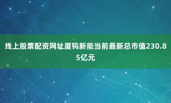 线上股票配资网址厦钨新能当前最新总市值230.85亿元