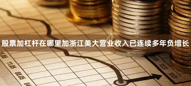 股票加杠杆在哪里加浙江美大营业收入已连续多年负增长